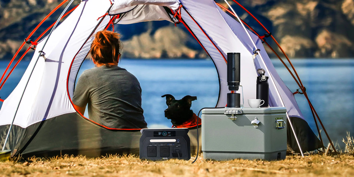 Energy for Every Adventure